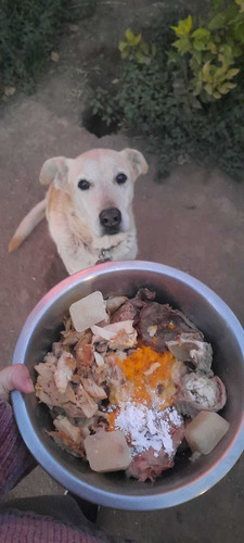 Imagen 5 de 10 de Peluquería Canina Y Guarderia