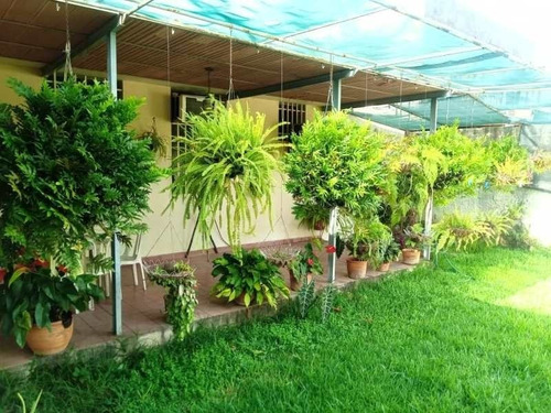 Imagen 9 de 12 de Casa En Venta En Urb El Bosque Andrews Rivero 04124959888