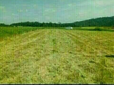Imagem 4 de 5 de Terreno 1000m2 Com Sua Casa Nova