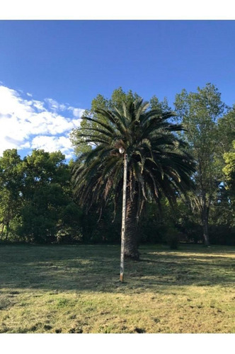 Imagen 13 de 22 de Casa Quinta En Venta, Los Campitos, Cañuelas
