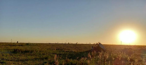 Imagen 9 de 13 de Chacra En Venta - 6ha - La Lucila Del Mar
