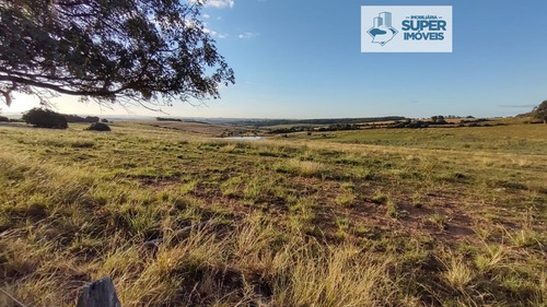 Imagem 11 de 23 de Fazenda A Venda No Bairro Centro Em Caçapava Do Sul - Rs. - 2021-1