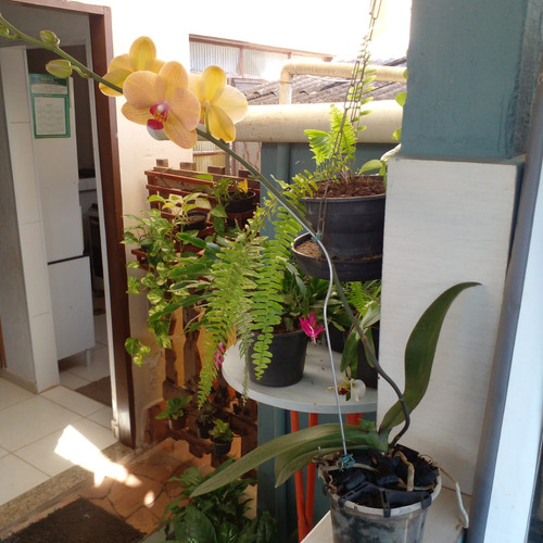 Casa Mobiliada R$170.000,00