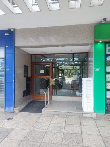Departamento Dos Ambientes En Alquiler - Marzo A Diciembre - Zona Plaza Colon, Mar Del Plata.