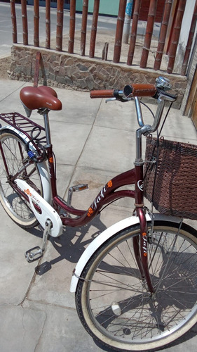 Bicicleta Vintage Estado 9/10 