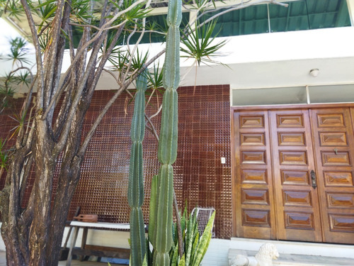 Imagem 6 de 19 de Casa Estilo Modernista Anos 60 Niemayer - Pampulha - Bh