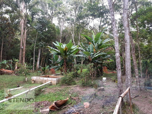 Imagem 12 de 28 de Chácara 250 M² - Venda - 2 Dormitórios - Chácara Sete Cruzes - Suzano/sp - Ch0060