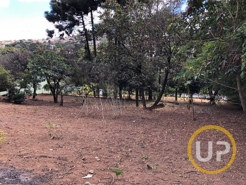 Imagem 6 de 8 de Lote / Terreno Em Avenida - São José Da Lapa - 8631