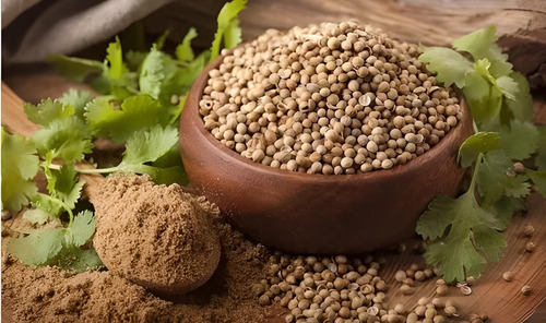 Semillas De Cilantro Criollo De Rancho 5 Kg