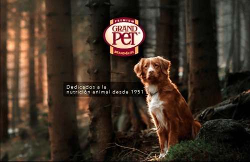Alimento Para Perro Carne Fresca Puppy Care 4 Kg Cachorros