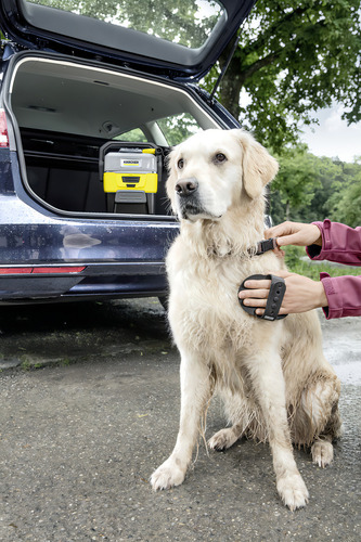Cepillo Para Mascotas Cerdas Blandas Karcher