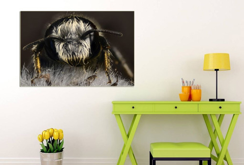 Cuadro 40x60cm Abejas Insectos Miel Colores Flores M3