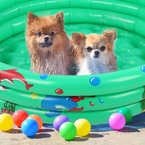 Mini Alberca Infantil Redonda Inflable Bebé Niños Pequeños N