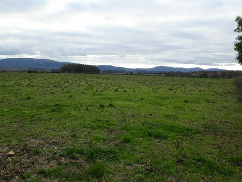 Campo De 6 Has 932 M 2 Ubicado En Ruta 60