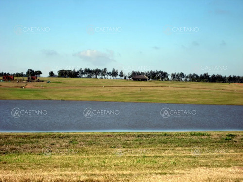 50 Metros De Costa, Acepta Financiacion Sin Interes, Venta, Chacra, Punta Del Este, Uruguay, Laguna De Los Cisnes