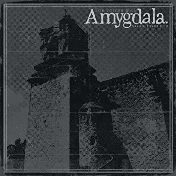 Amygdala Our Voices Will Soar Forever Usa Import Cd