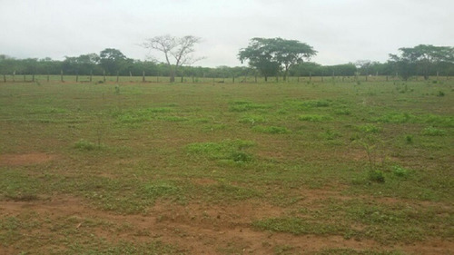 Imagen 13 de 14 de Finca En Venta En San Jose De Guaribe