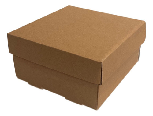 Caja Hamburgesa, Empanada, Delivery, M/m 19x19x10 X10