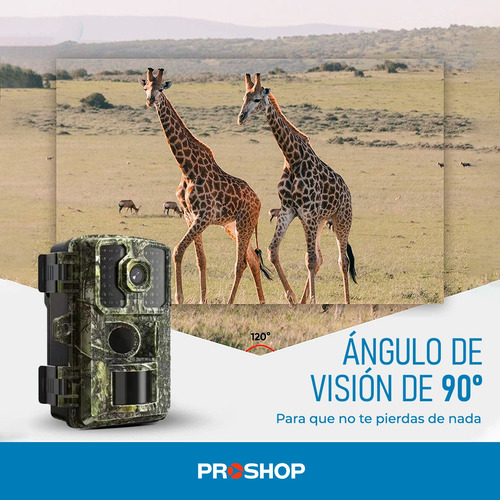 Camara Vigilancia Seguridad Caza Caceria Infrarroja Oculta ! Verde Oscuro