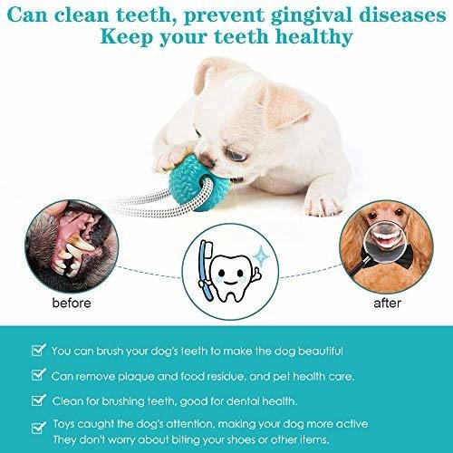 Wxhny Dog Rrtoys Suministros Para Mascotas Juguetes Interact