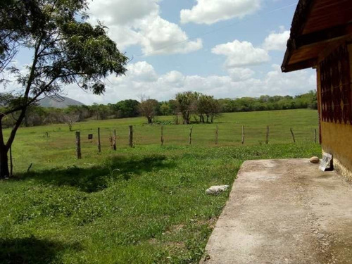 Imagen 7 de 15 de Finca En Venta. Gran Oportunidad.