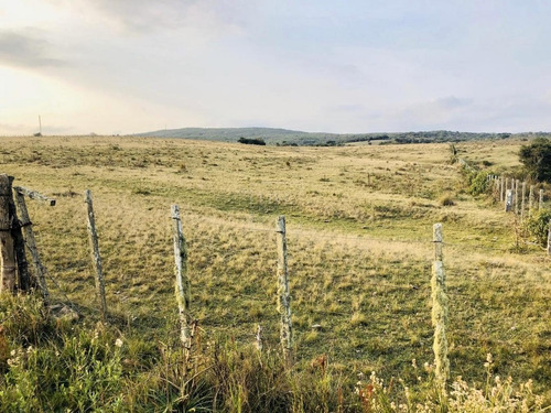 Chacra En Venta En Garzón