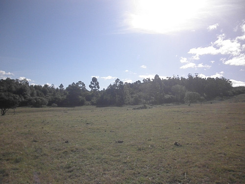 Chacra Turística A 5 Kms. De Piriápolis (ref. 3451)