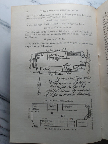 Imagen 3 de 7 de Vida Y Obra De Sigmund Freud. Tomo 1. 52969