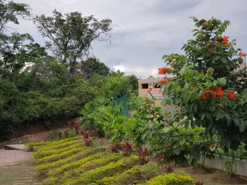 Venta De Lotes - Conjunto San Jeronimo - Anapoima C/marca