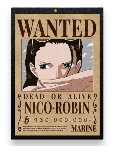 Cuadro Anime One Piece Robin Se Busca 30x40cm. Sin Vidrio