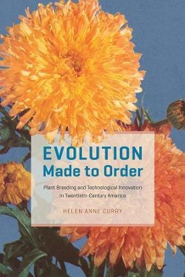Libro Evolution Made To Order : Plant Breeding And Techno...