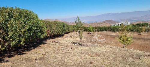 Parcela En Venta En Colina