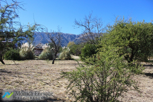 Lote De 1500m2 En Cerro De Oro, Sobre Calle Cuesta De La Granadilla