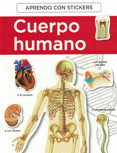 Aprendo Con Stickers: El Cuerpo Humano - Pegatinas María Jos