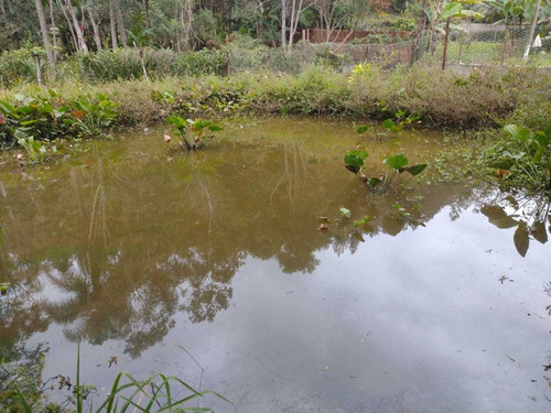 Imagem 1 de 14 de Chácara Juquitiba C Piscina Lagos Perto Represa Cod:4467