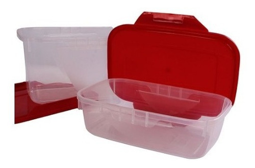 Imagem 2 de 3 de Conjunto 2 Potes Multiuso Com Trava 250ml E 500ml Ercaplast