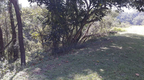 Imagem 3 de 4 de Terreno De Condomínio, Condomínio Voturuna, Santana De Parnaíba - R$ 850 Mil, Cod: 235378 - V235378