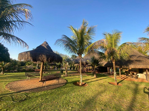 Imagem 5 de 30 de Terreno À Venda, 1562 M² Por R$ 689.000,00 - Gleba Fazenda Palhano - Cambé/pr - Te0617