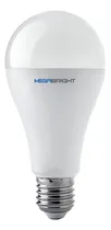 Comprar Ampolletas 15 Watts Led. Pack 10 Ampolletas - Work Led