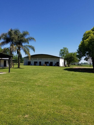 Imagen 7 de 11 de Campo - Marcos Paz