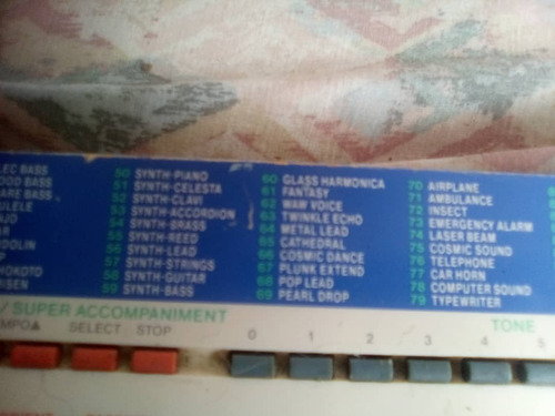 Piano Didactico Infantil Casio Con Detalles Con Melodias (Usado)