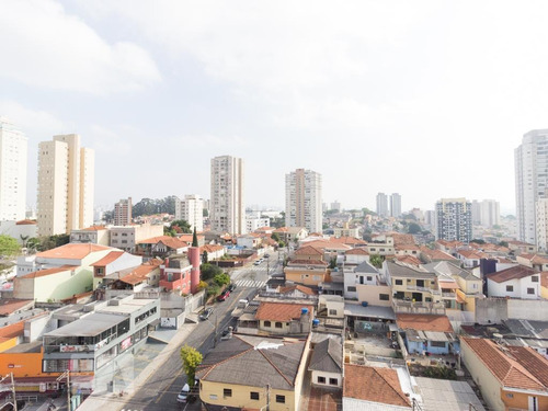 Apartamento À Venda - Santana, 1 Quarto, 70 - S893137160