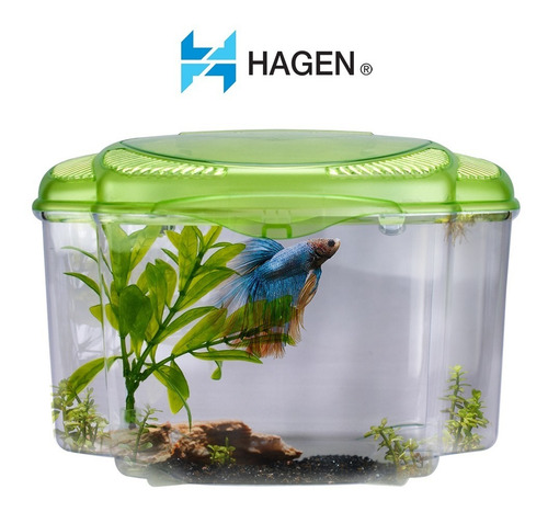 Imagen 3 de 3 de Beta Kit Verde Acuario Peces Beta Envío Gratis