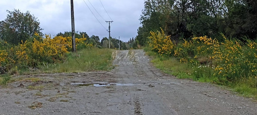 Parcela De 5.000 Mts2 En Chepu Comuna De Ancud