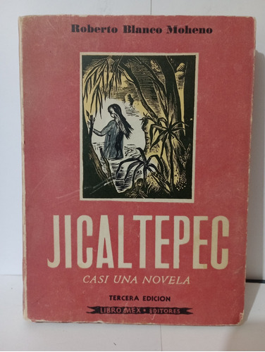 Jicaltepec Casi Una Novela Roberto Blanco 