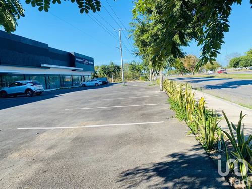 Renta Local Comercial 1 Ambiente Francisco De Montejo