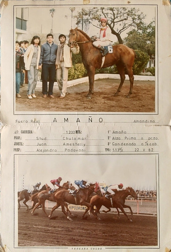 Antigua Fotografía Del Hipódromo Chile Amaño 1982(aa566