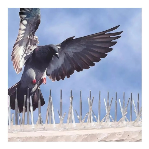 Imagen 6 de 6 de 5m Pinches Puas Ahuyenta Pajaros Palomas + Adhesivo Pega Mas