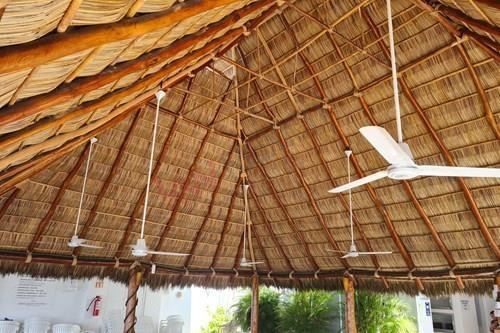 Imagen 8 de 25 de Departamento En Venta, Manzanillo, Colima.