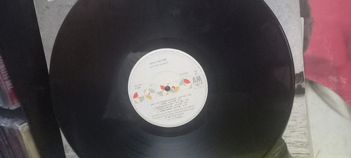 Lp Vinil - Bryan Adams - Into The Fire (Usado)